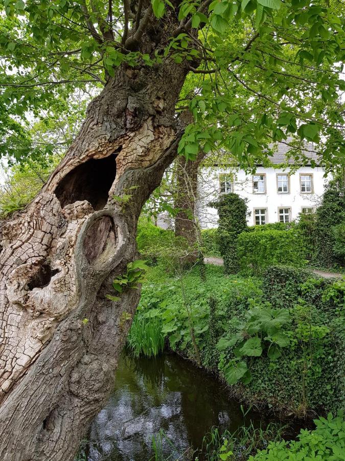 Ferienwohnung Varus Ostercappeln Zewnętrze zdjęcie
